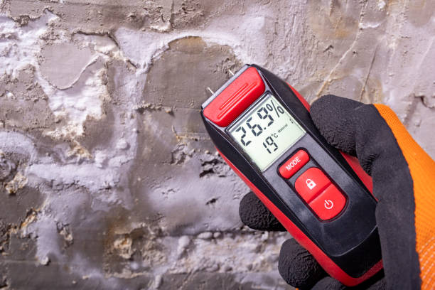 Best Office Mold Removal Services  in Jerome, ID