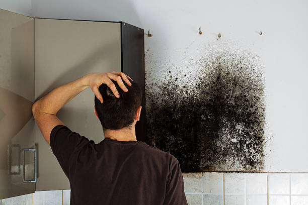 Best Emergency Mold Removal  in Jerome, ID